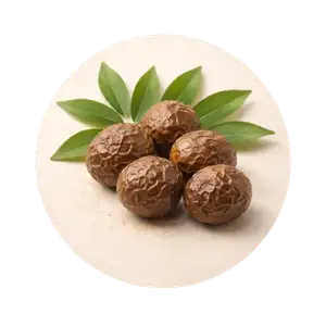 Reetha herb used in Royallify shampoo for gentle scalp cleansing